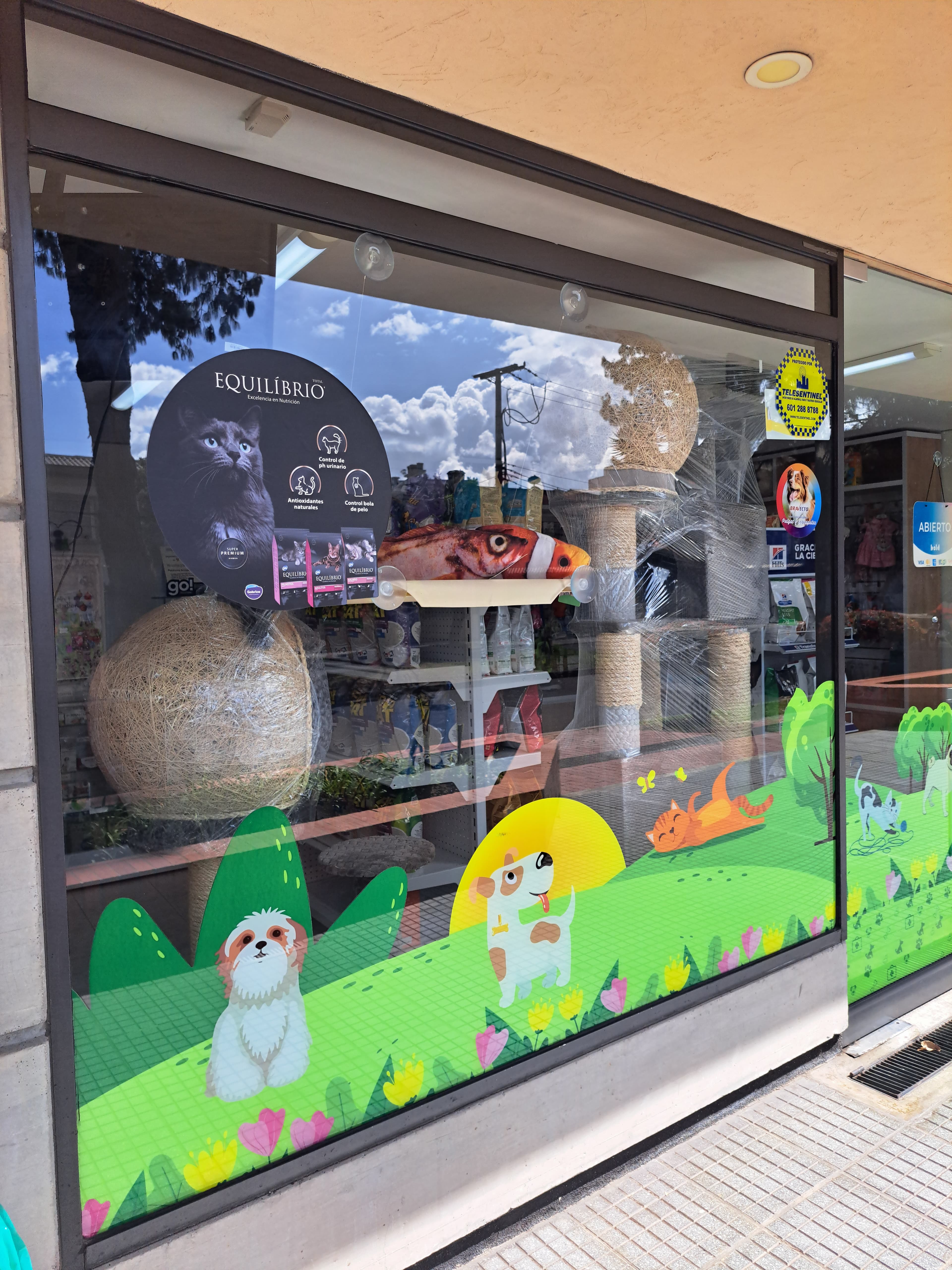Pet shop window featuring colorful cartoon animal decals, cat trees, and reflected sky and clouds.